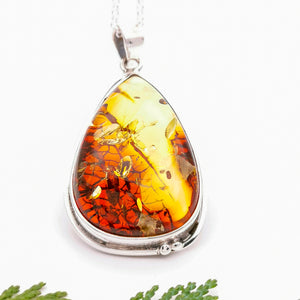 Unique Bi Colour Amber Necklace